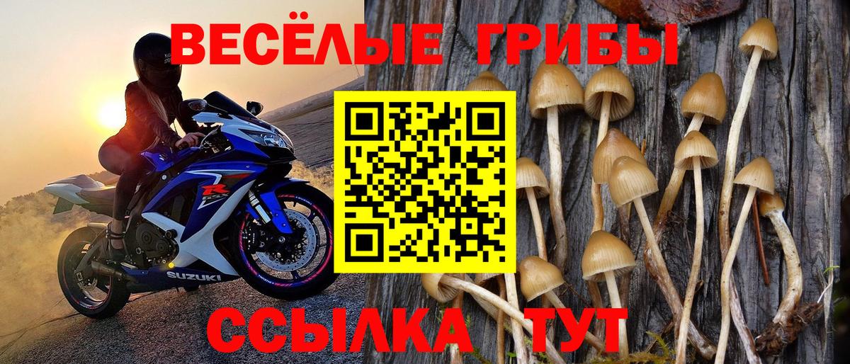 МДМА  Омск  Канабис  МЕФ   ГАШ  Вход с VPN 