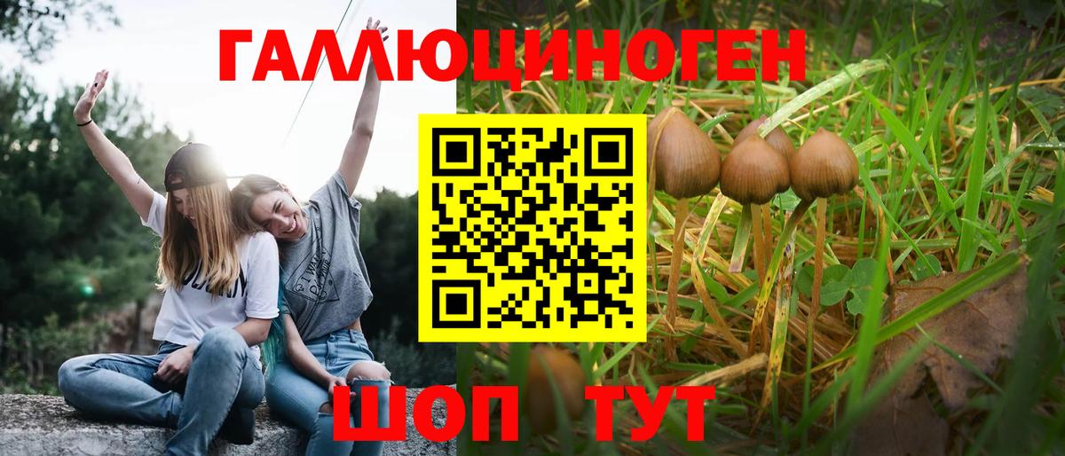 Омск  Галлюциногенные грибы прущие грибы  Галлюциногенные грибы мухоморы  где можно купить   Вход с VPN 